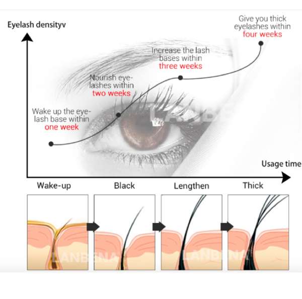 how eyelash growth serum works