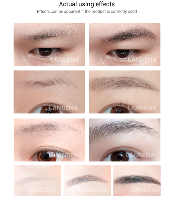 eyebrows growth serum from lanbena