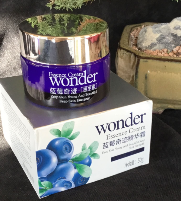 wonder blueberry day cream review