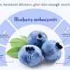 wonder blueberry day cream benefits