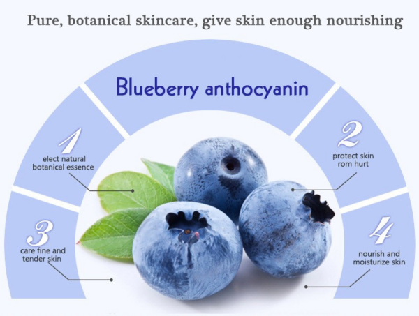 wonder blueberry day cream benefits