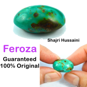 feroza hussaini shajri