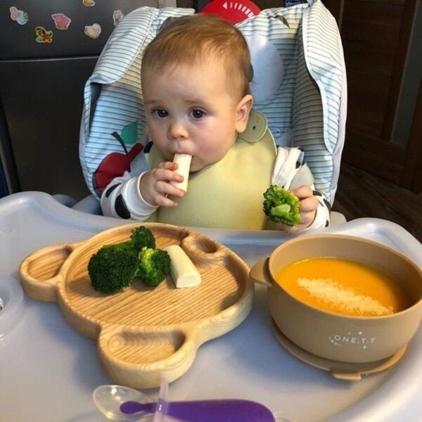Panda tray image for babies food 4