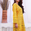 Ladies Kurti