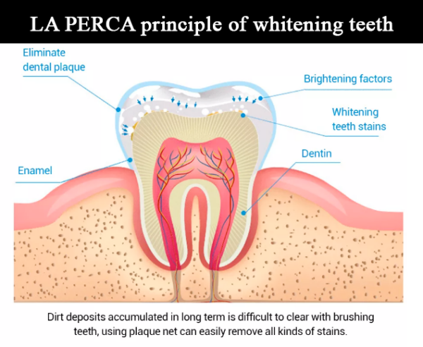 LA PERCA principle of whitening teeth